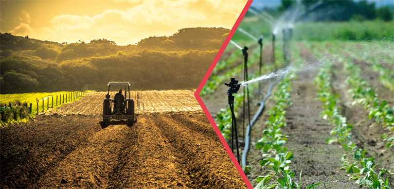 Çiftçilere 320 milyon liralık destek!