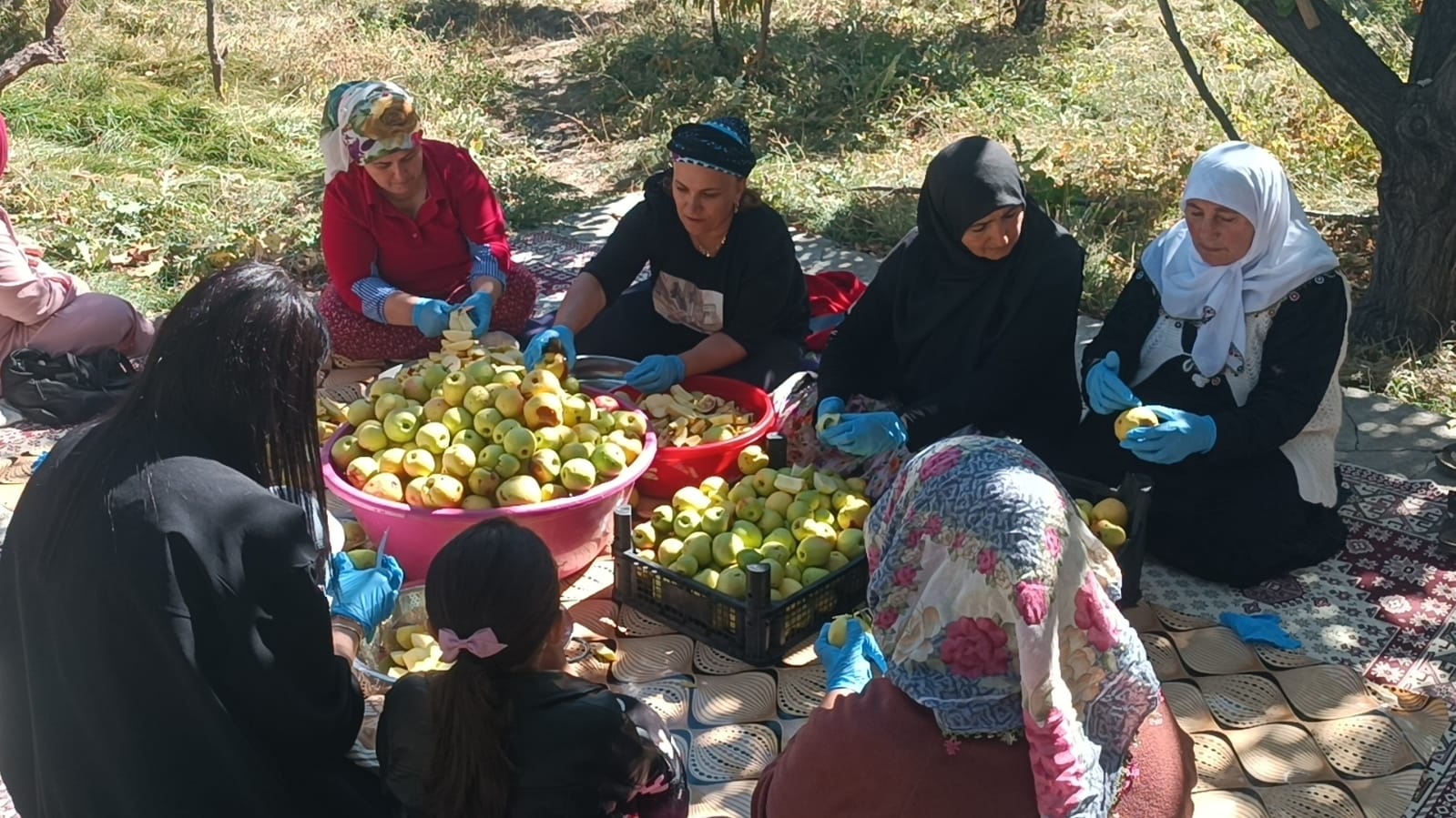 Vanlı Kadınlar Kurdukları Kooperatifle Aile Bütçelerine Destek Oluyor