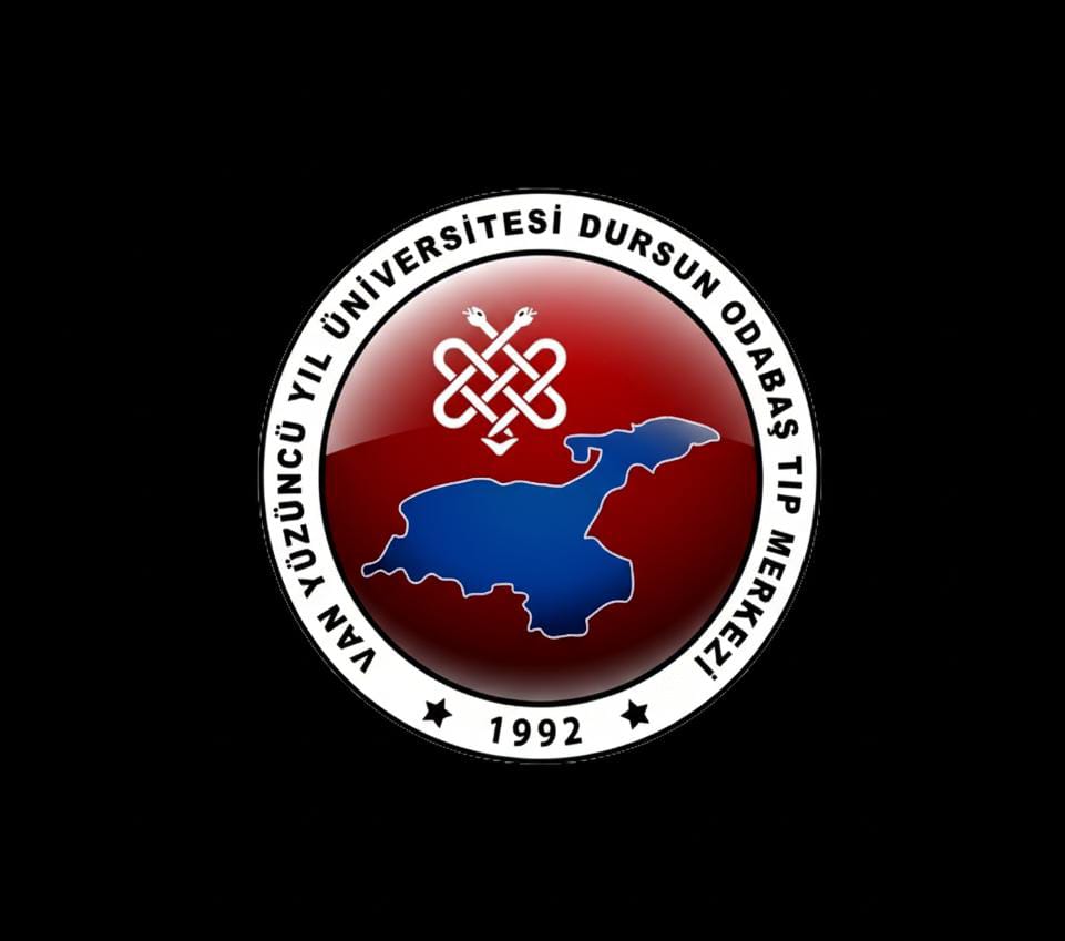 Vanlı Doktor Mısır’da Kaza Geçirdi: Eşi ve Şoför Olay Yerinde Yaşamını Yitirdi