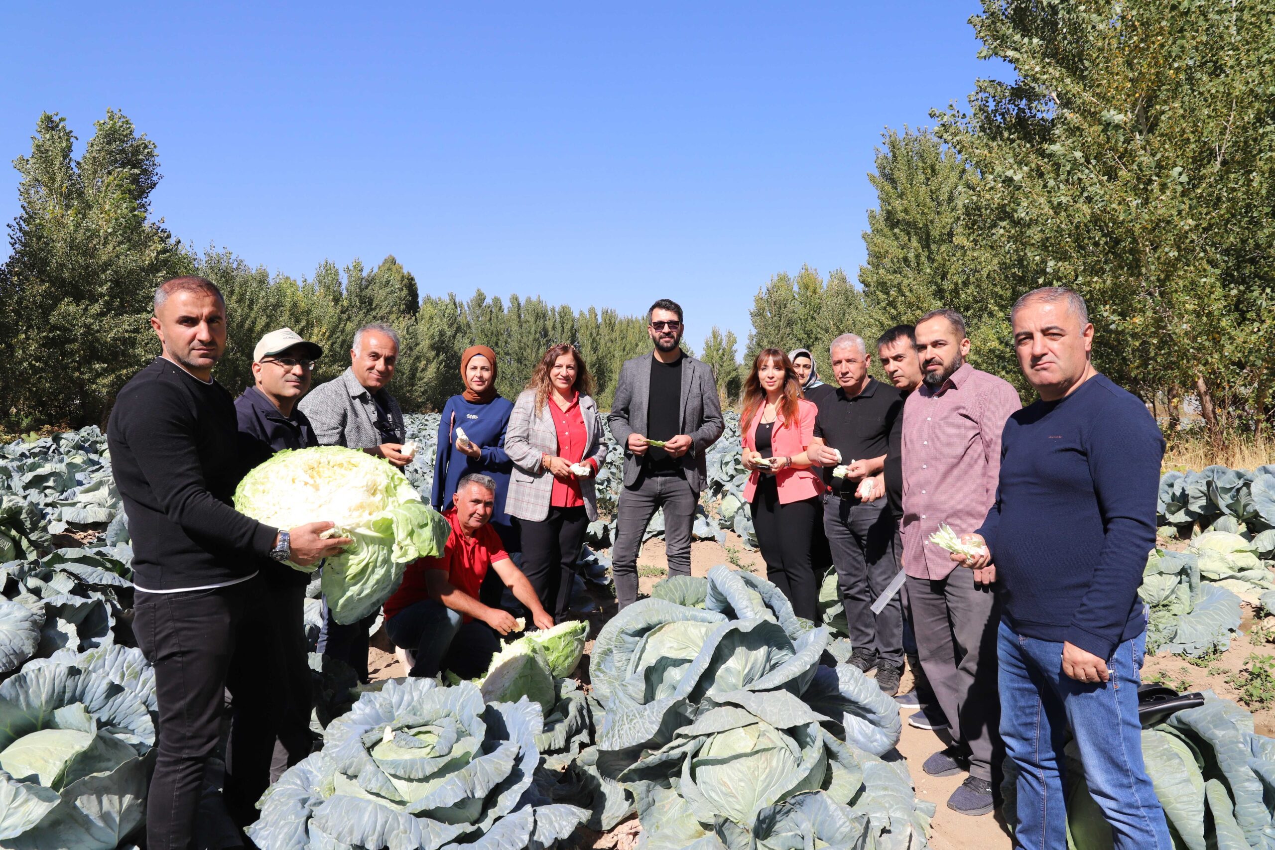 Van’ın tescilli lezzeti Erciş Lahanası ilk denetimden tam not aldı