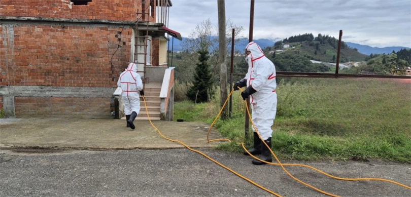 Kahverengi kokarcaya karşı 1 milyondan fazla hane ilaçlandı