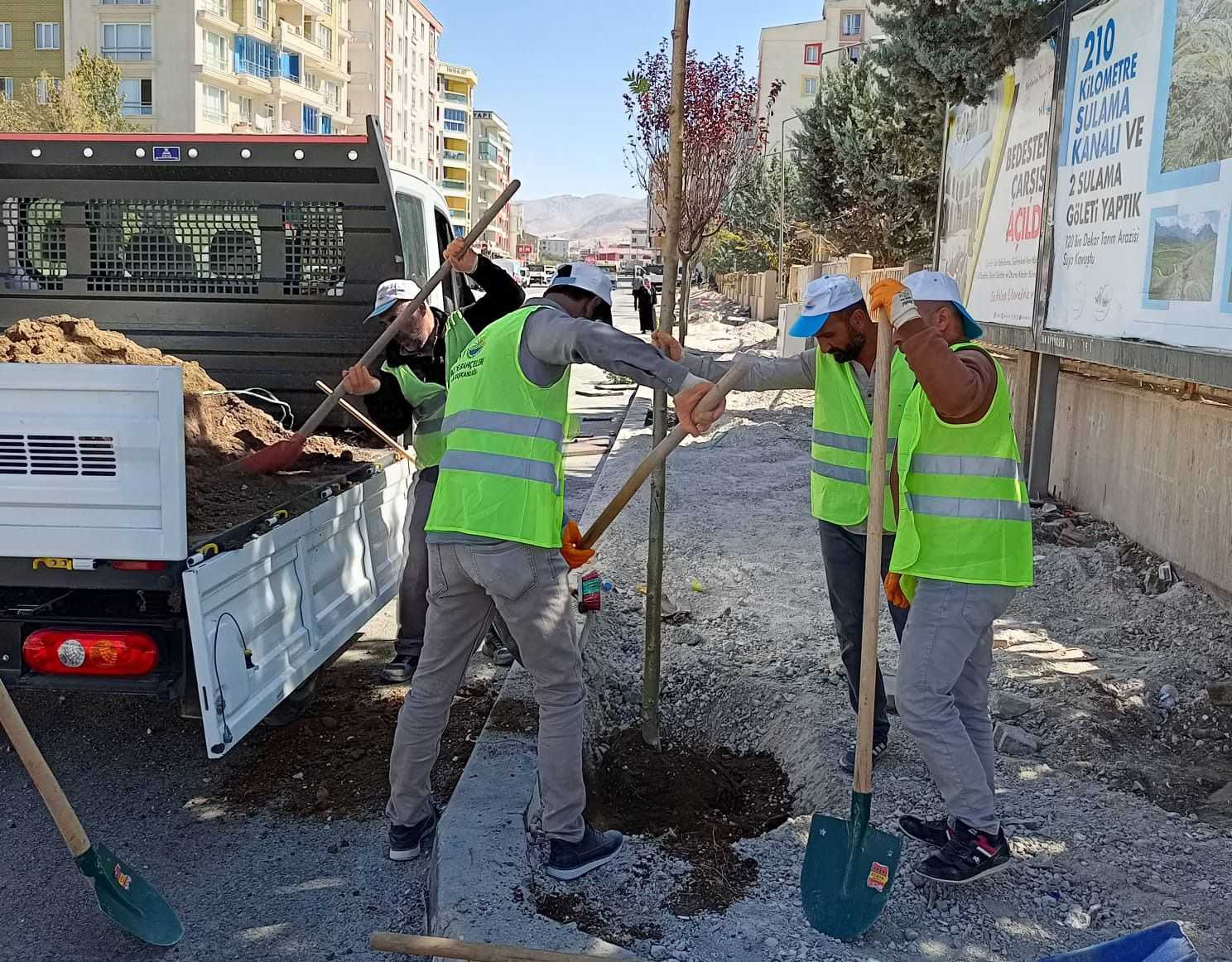 Mareşal Fevzi Çakmak Caddesi ağaçlandırıldı