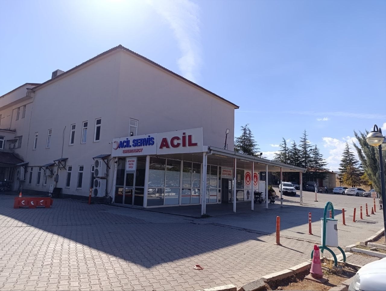 Arının soktuğu çocuk hayatını kaybetti