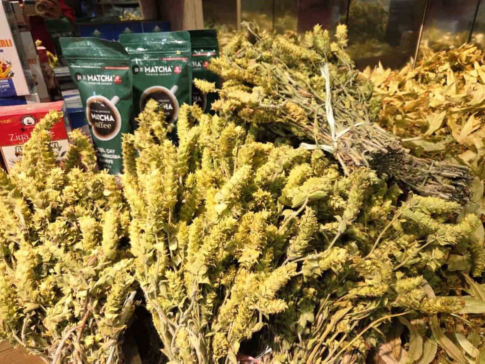 Şifa deposu ıhlamura ilgi arttı