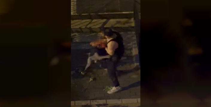 Pitbull cinsi köpek sahibine saldırdı: Dehşet anları kamerada