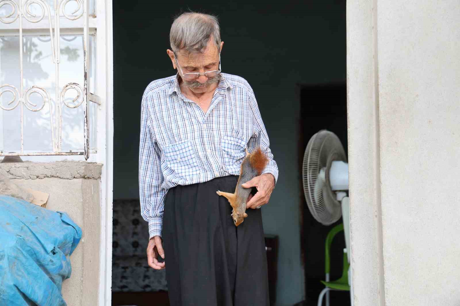 Yalnız kalmıştı, yavruyken kurtardığı ’sincap’ dostu oldu