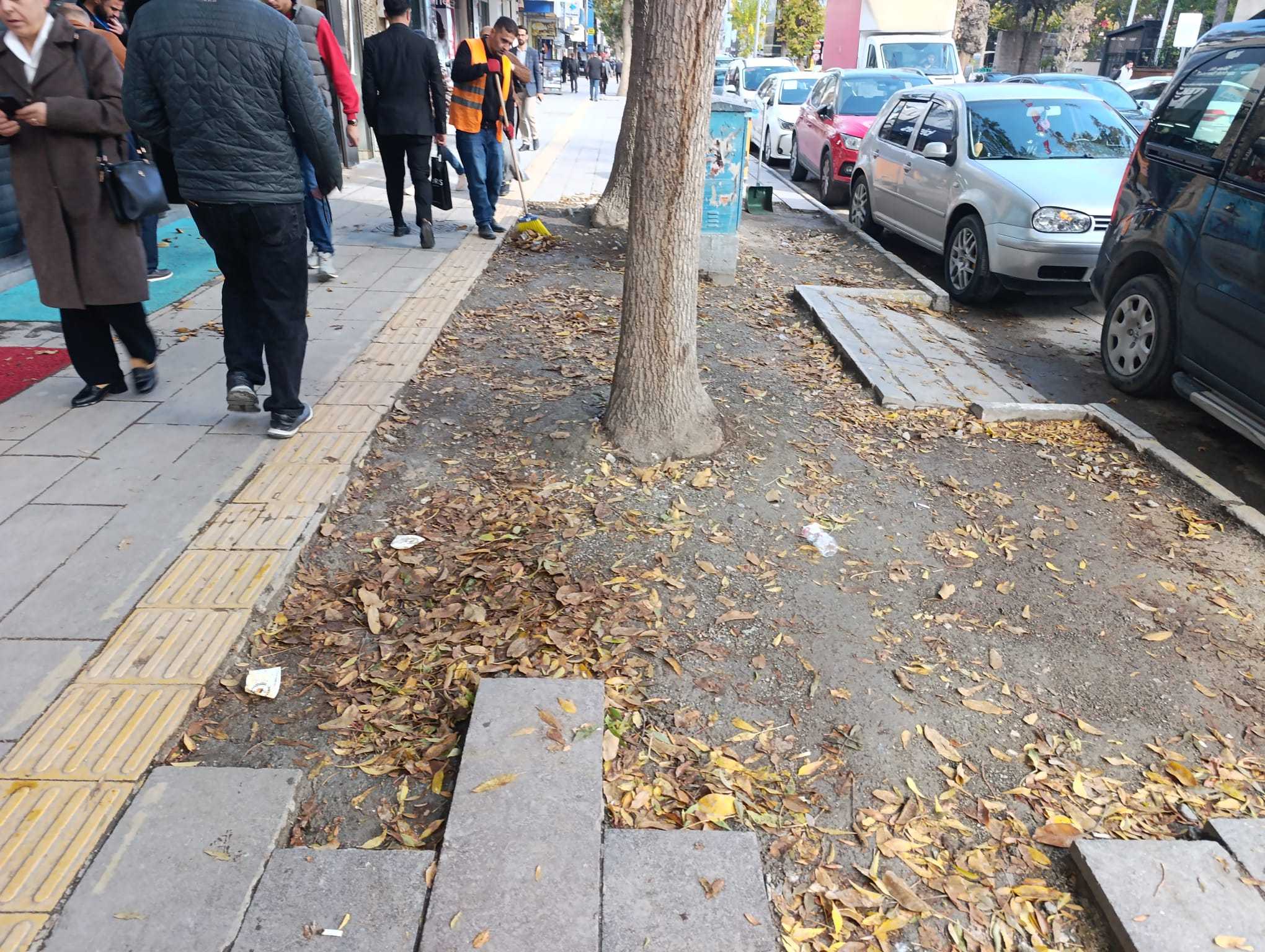 Van’da belediye çalışanlarının yaprak mesaisi başladı