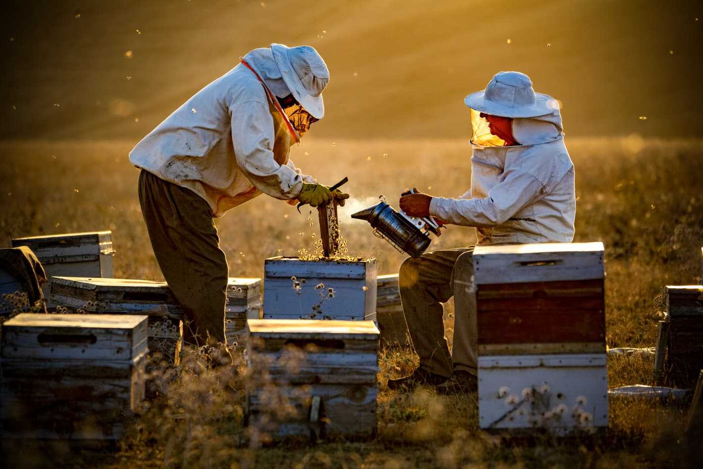 Vanlı Fotoğraf Sanatçısı Murat Cacim’den Uluslararası Başarı