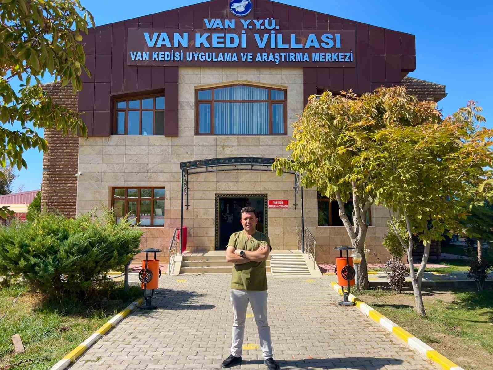 30 yıllık emek: Van kedilerine bir ömür adadı