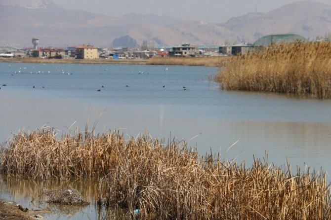 Van-Edremit Sazlıkları’nda balık avı, mangal ve ateş yakmak yasaklandı