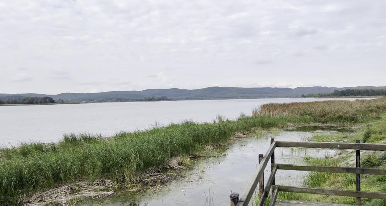 “Sakarya Gölü Alarm Veriyor: Su Seviyesi Dramatik Şekilde Azaldı”