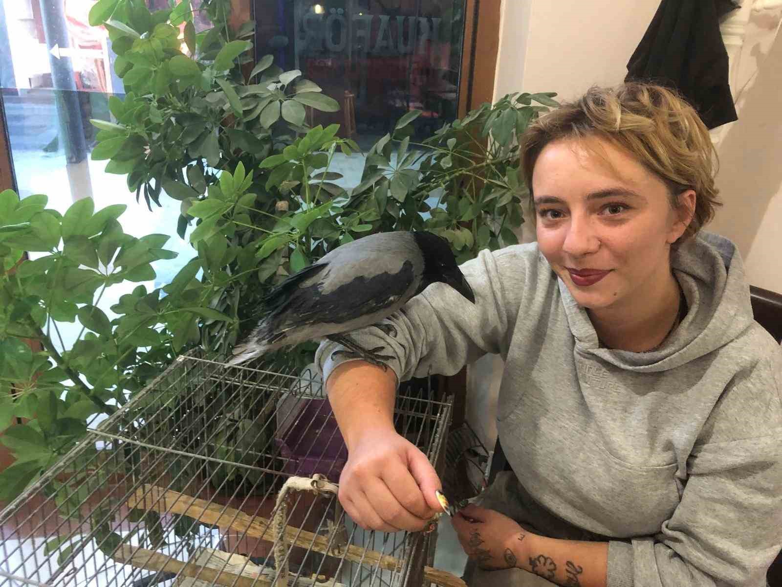 Geceleri Kafeste, Gündüzleri Kahvehanede!