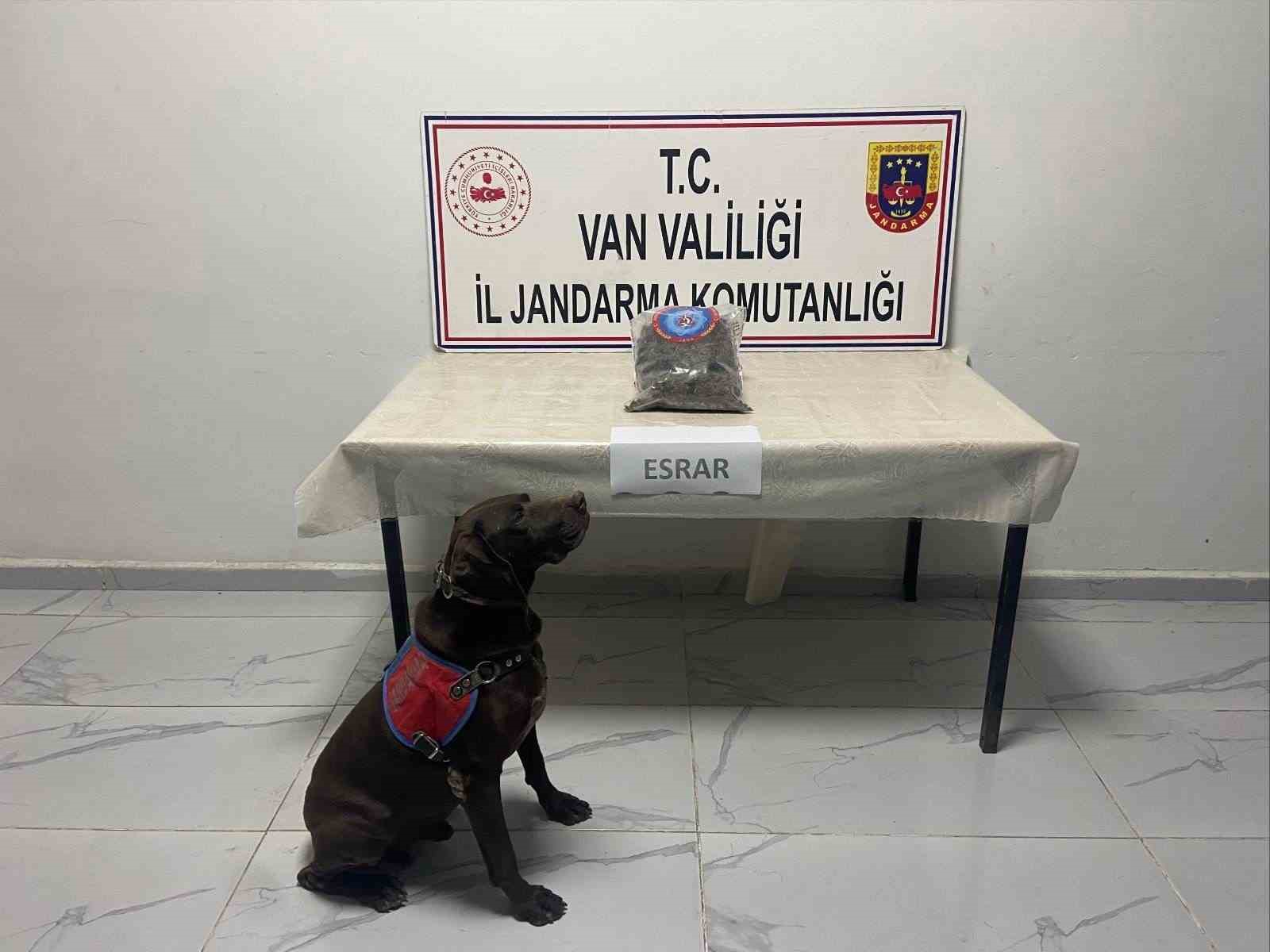 Hakkari’de kubar esrar ele geçirildi