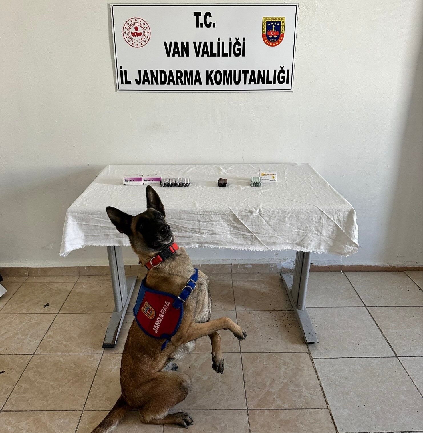 Van’da İran Uyruklu Şahsın Üzerinde 380 Sentetik Hap Ele Geçirildi