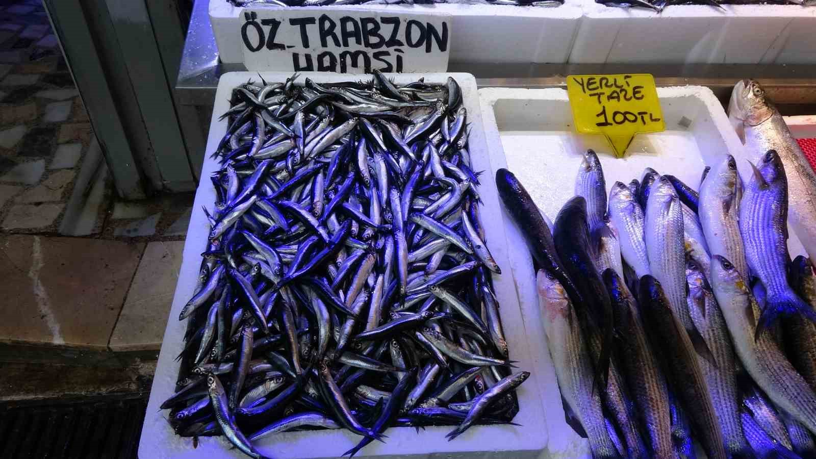 Karadeniz’de Patlayan Dronlar Hamsiyi Korkuttu İddiası