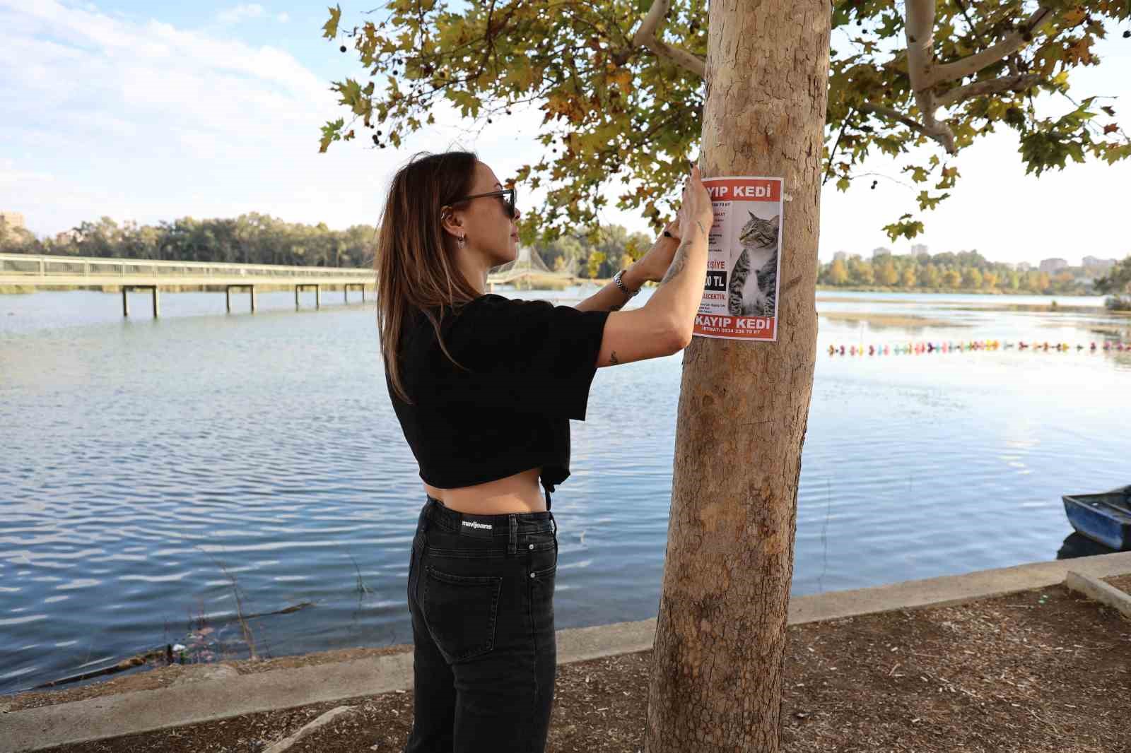 Kayıp Kedisi İçin 100 Bin Lira Ödül Vaat Etti!