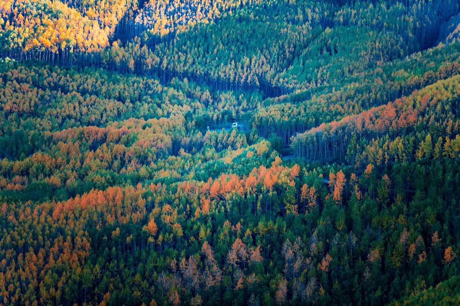 Kayseri’deki saklı hazine: Ortaseki Ormanları