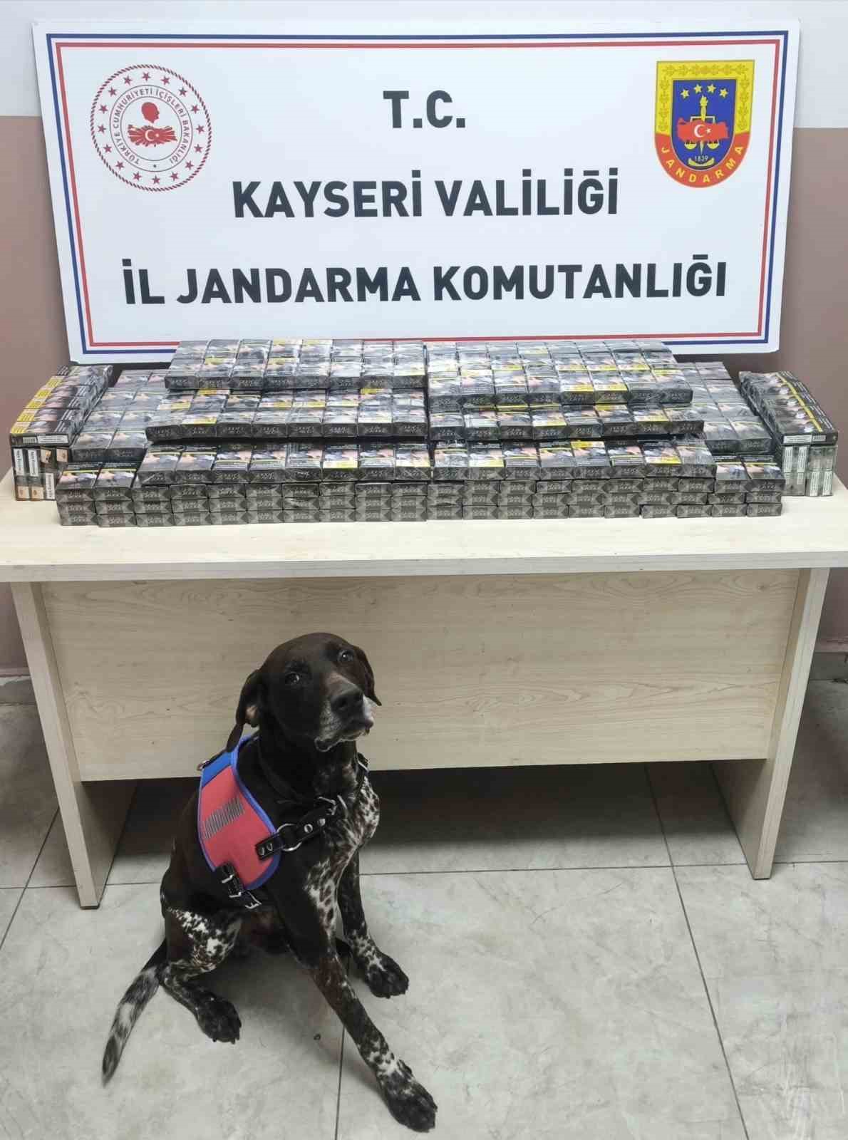 Kimlik kontrolü için durdurulan 2 tırdan 560 paket kaçak sigara ele geçirildi
