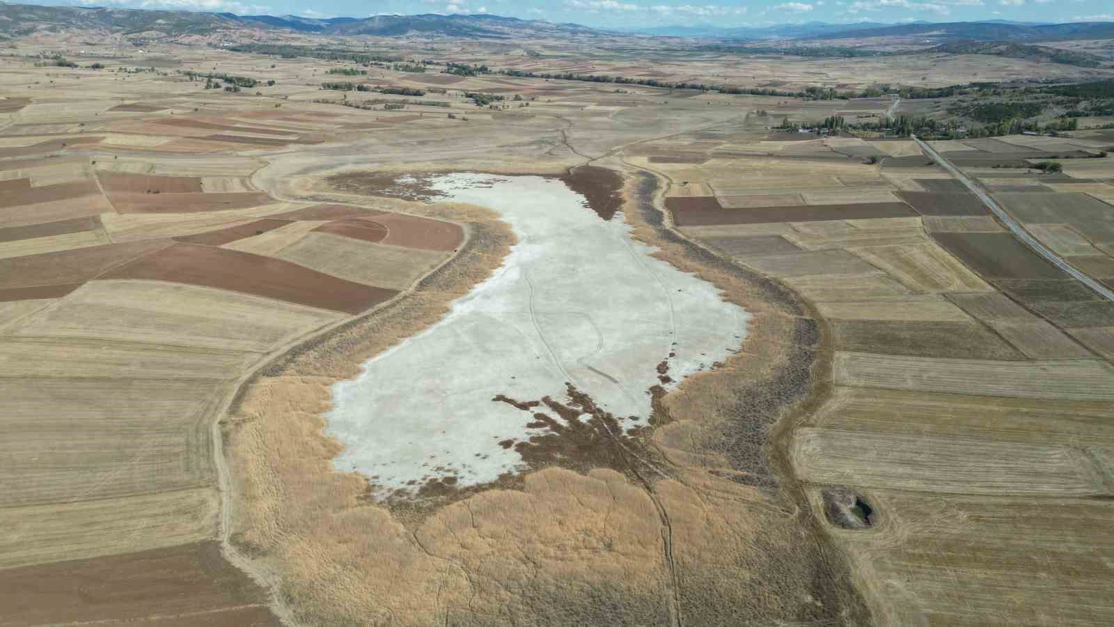 Kuşların dans ettiği gölet kuraklık nedeniyle çorak zemine dönüştü