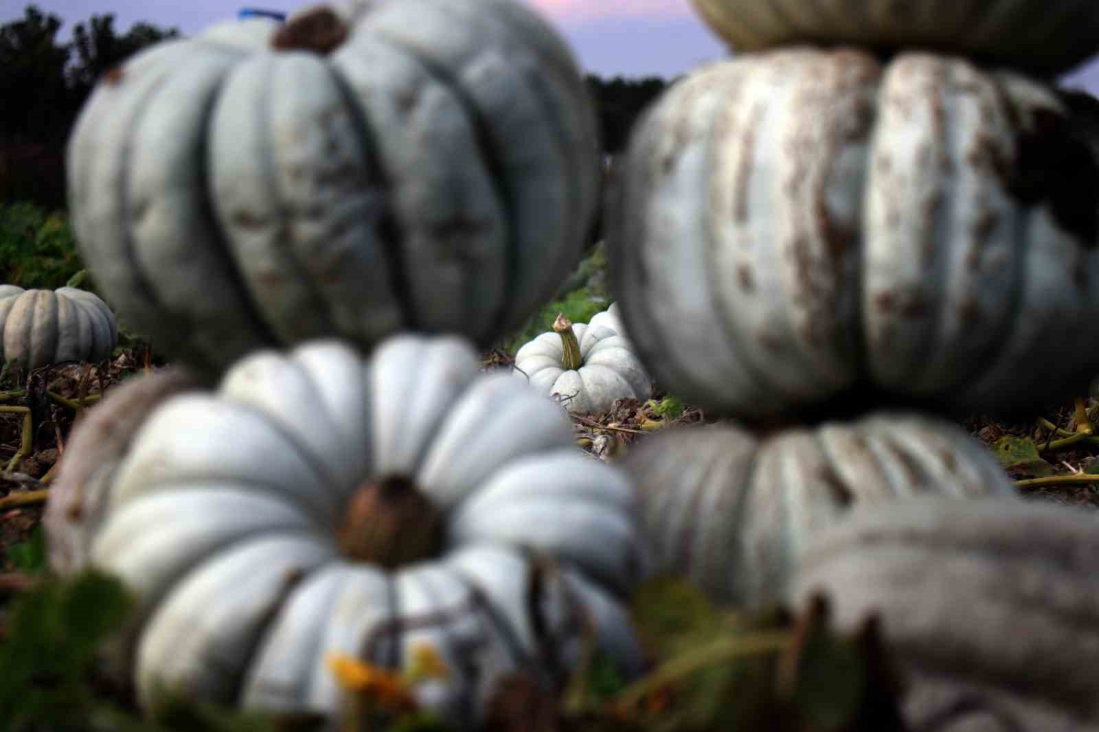 Lezzetiyle Hem Ülkeyi Hem Dünyayı Fethediyor