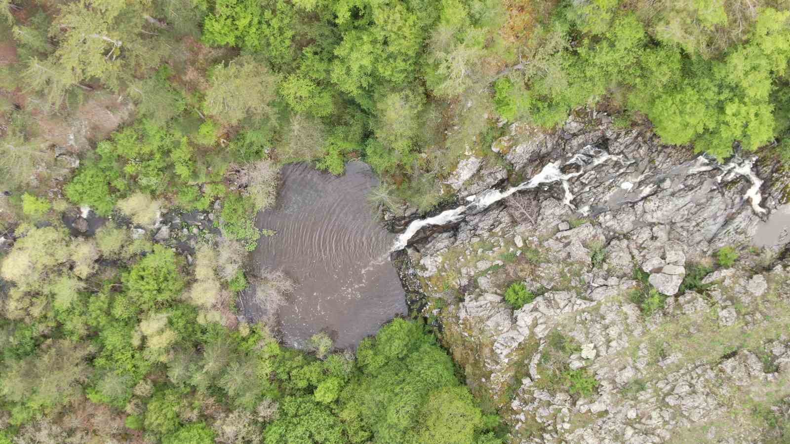 Ormanın içerisinden akan şelale görenleri mest ediyor