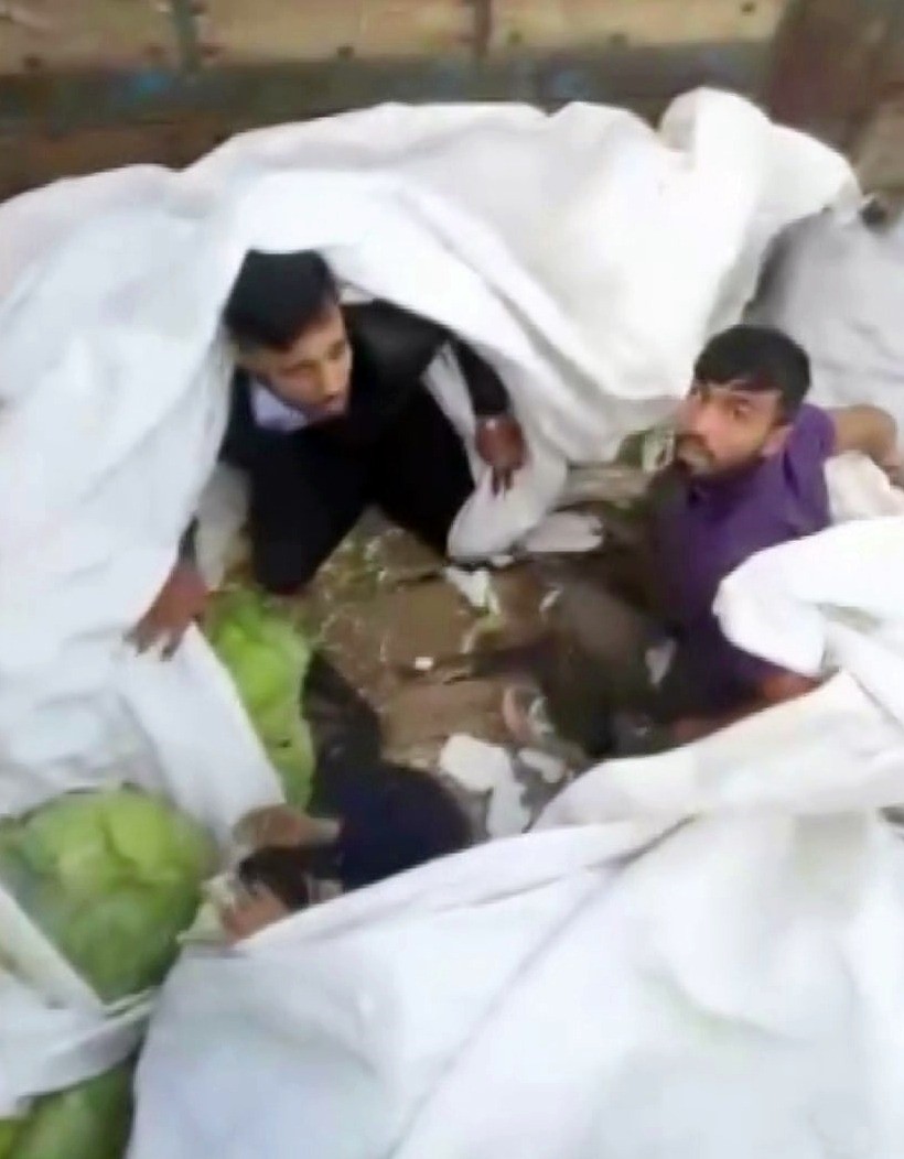 Sakarya’da lahana yüklü tırdan kaçak göçmenler çıktı