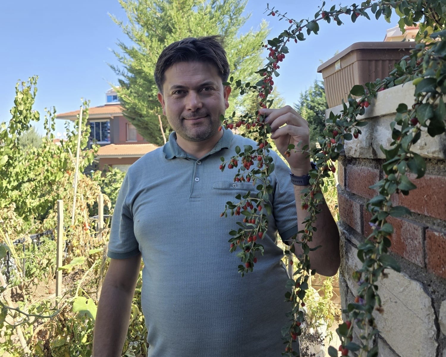 Vanlı Doktorun Bahçesi Tropik Meyve Cennetine Dönüştü