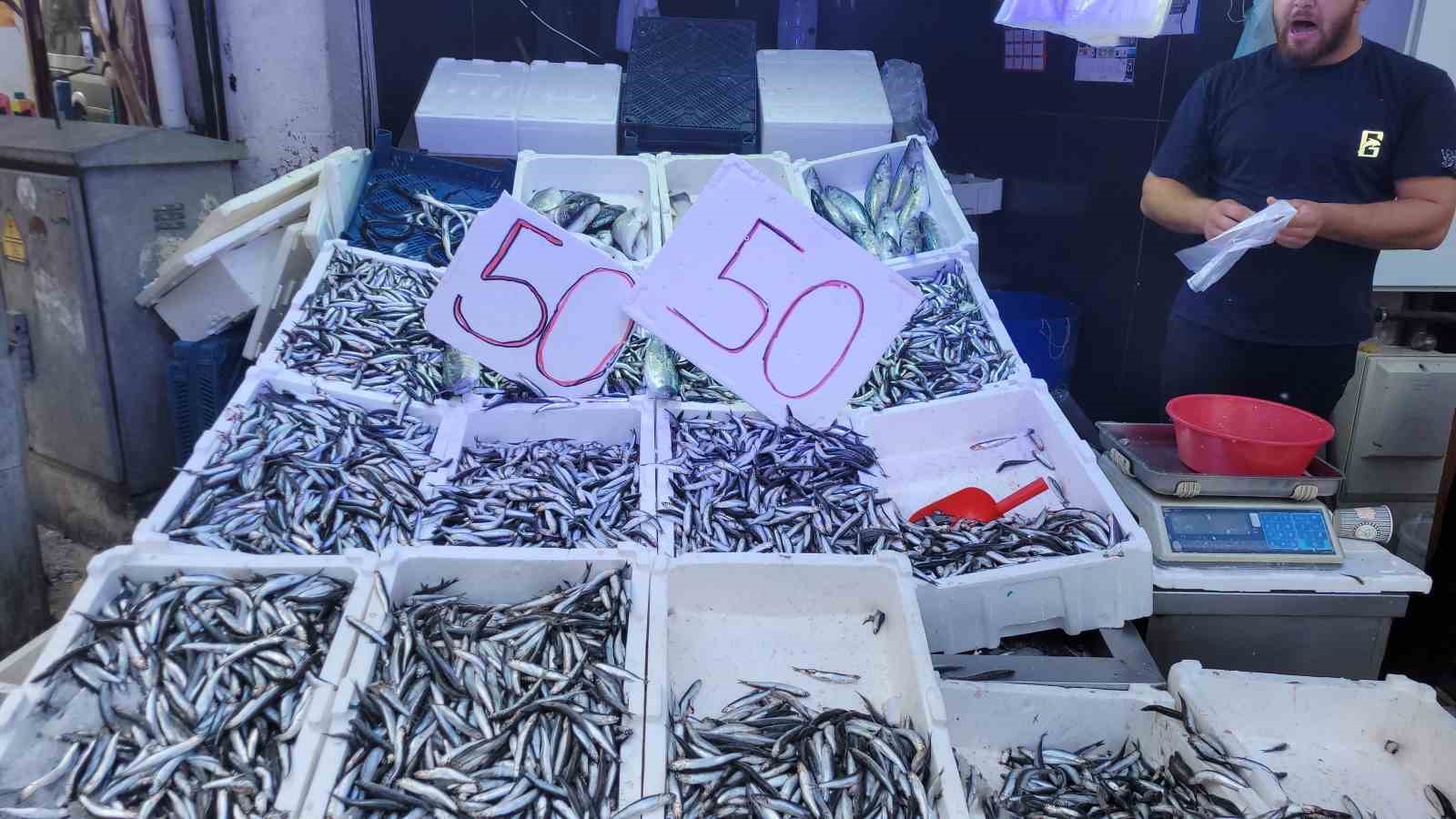 Tezgahlar hamsi doldu: Kilosu 50 lira