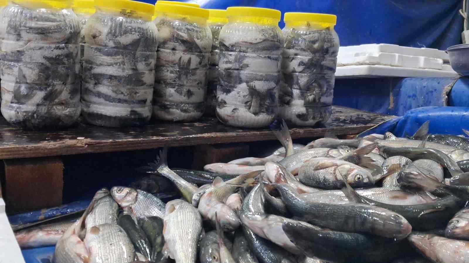 Van balığına ilgi arttı