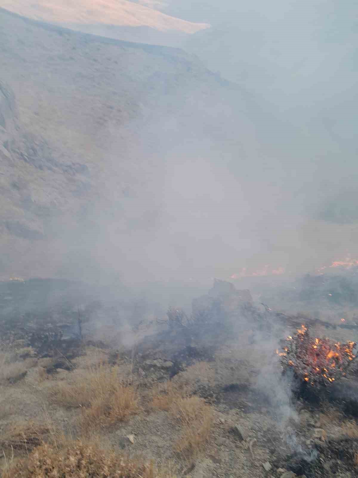 Van’da anız yangını