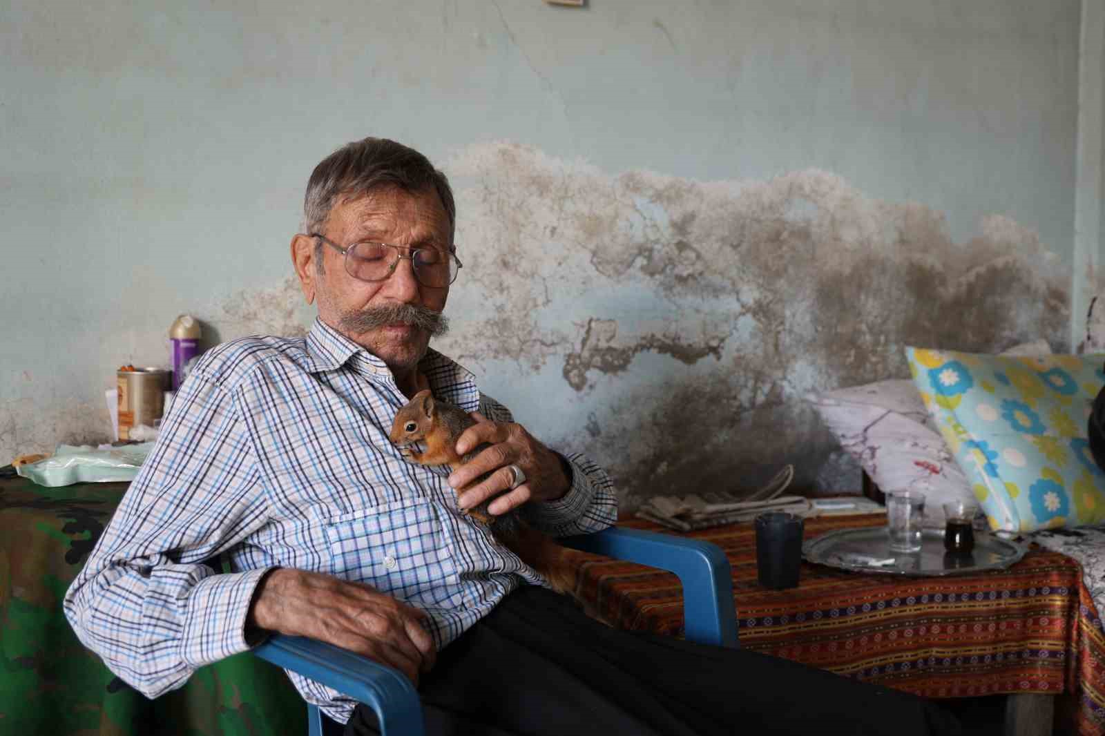 Yavruyken kurtardığı ’sincap’ dostu oldu