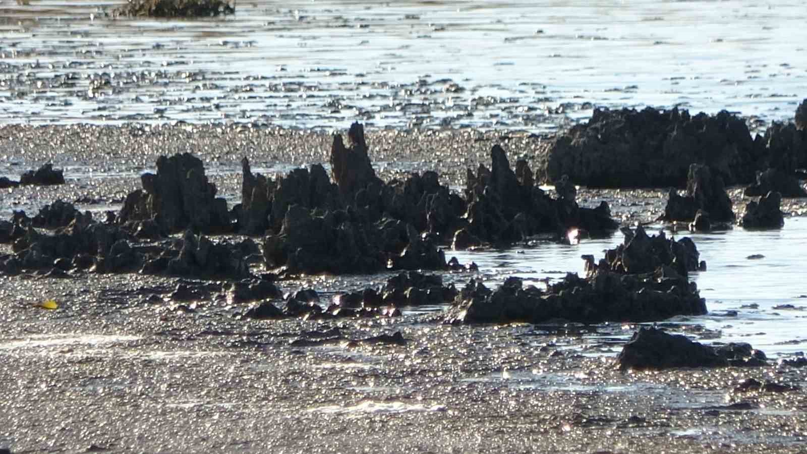 Erçek Gölü’nde su çekilince mikrobiyalitler ortaya çıktı