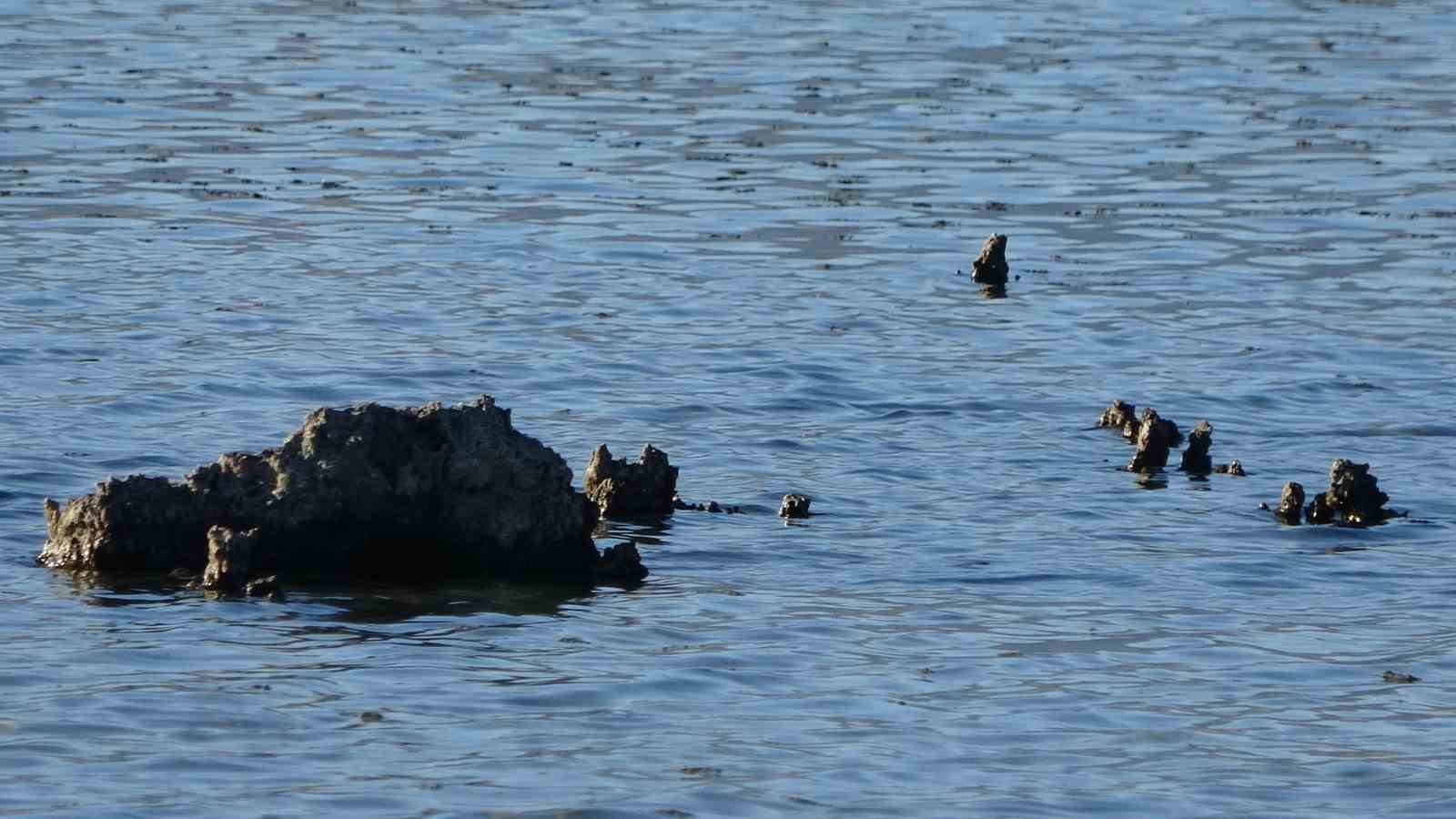 Erçek Gölü’nde su çekilince mikrobiyalitler ortaya çıktı