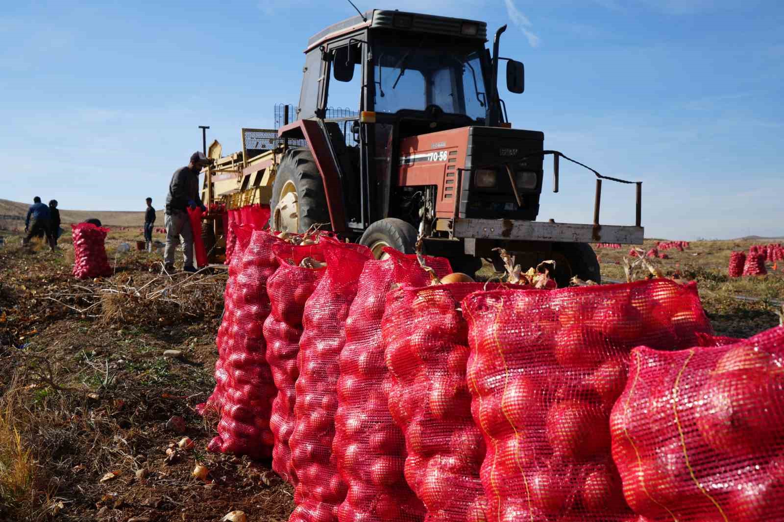 Kuraklık riski büyüyor, çiftçiden uyarı: 
