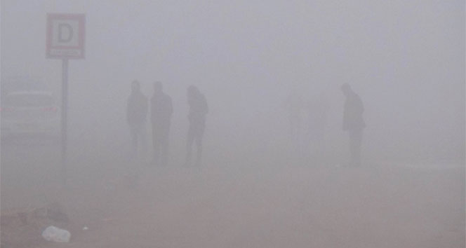 Van ve bölge illerine pus ve sis uyarısı