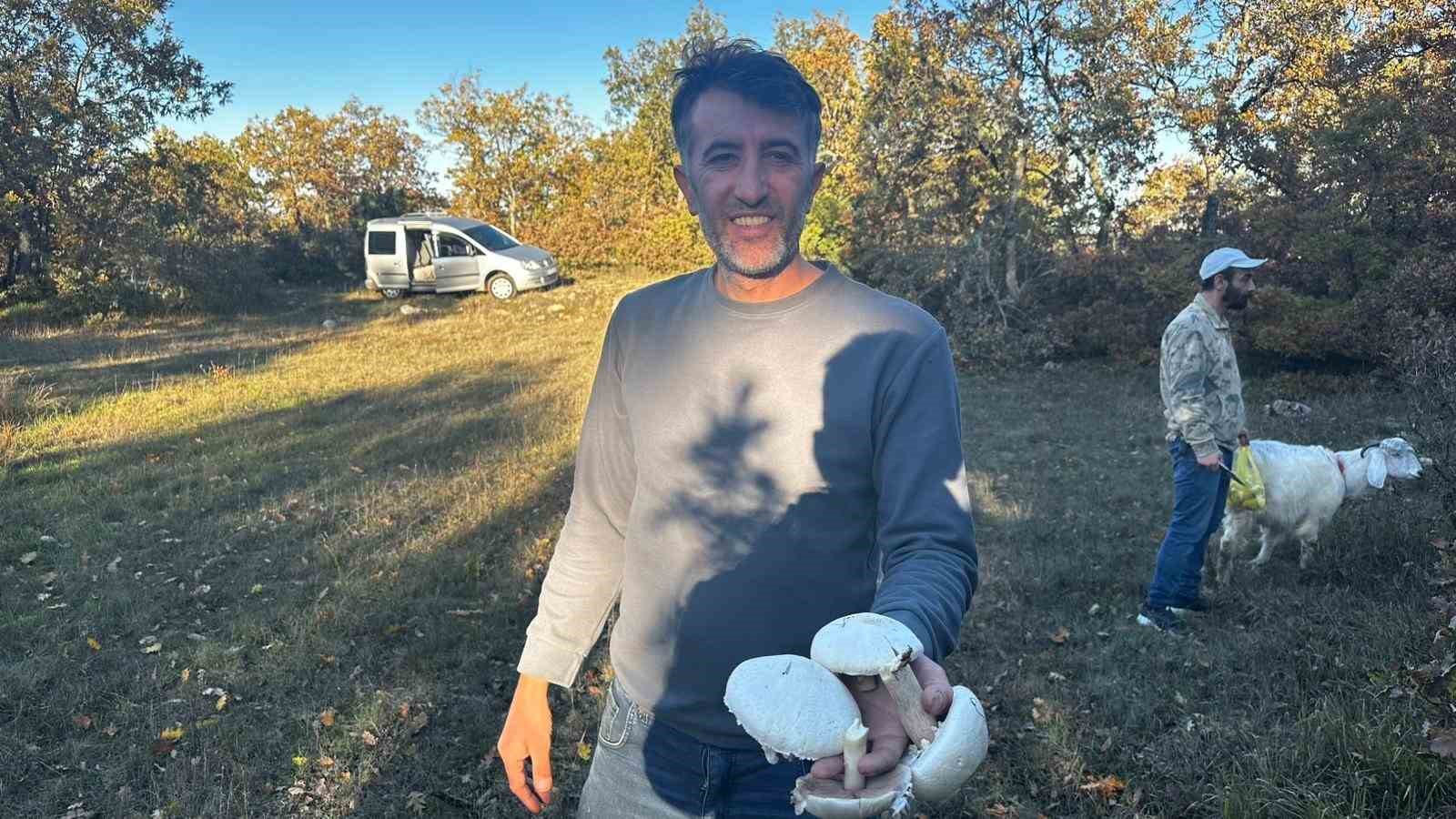 Ormanlarda mantar patlaması yaşandı