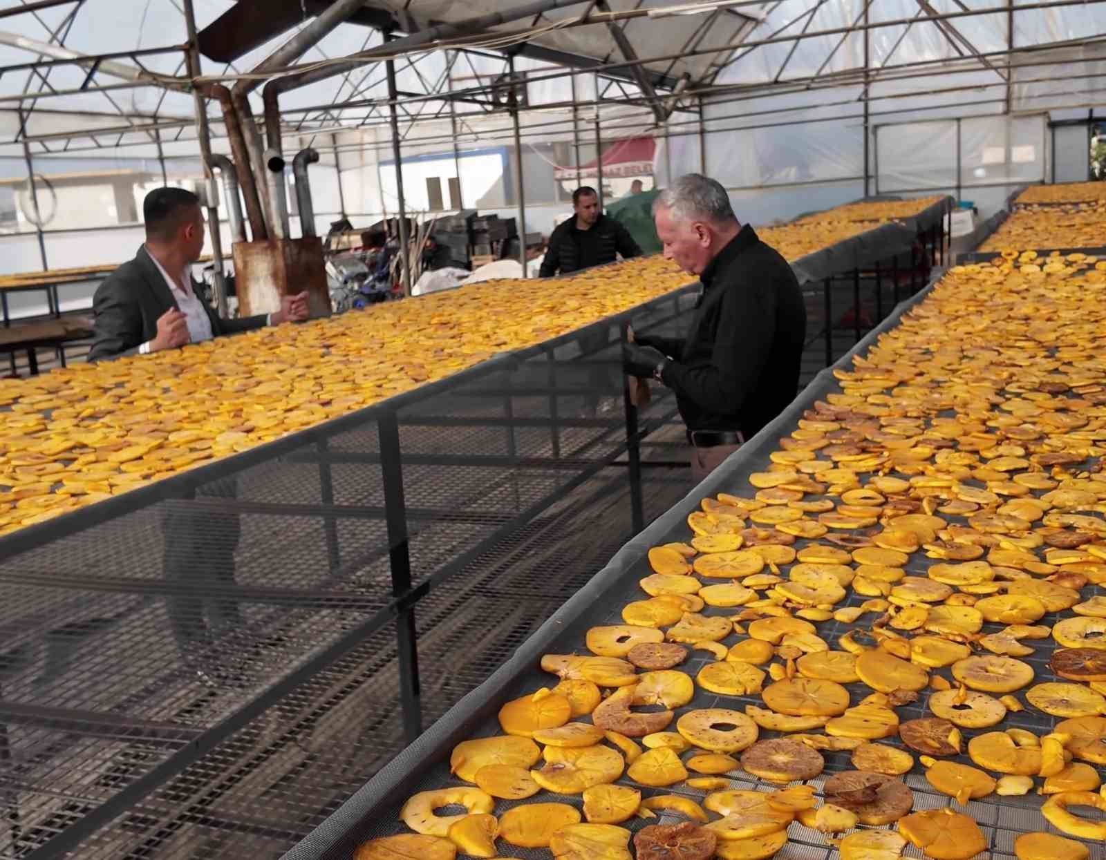 Cennet hurması bu kez cips olarak damakları şenlendirecek