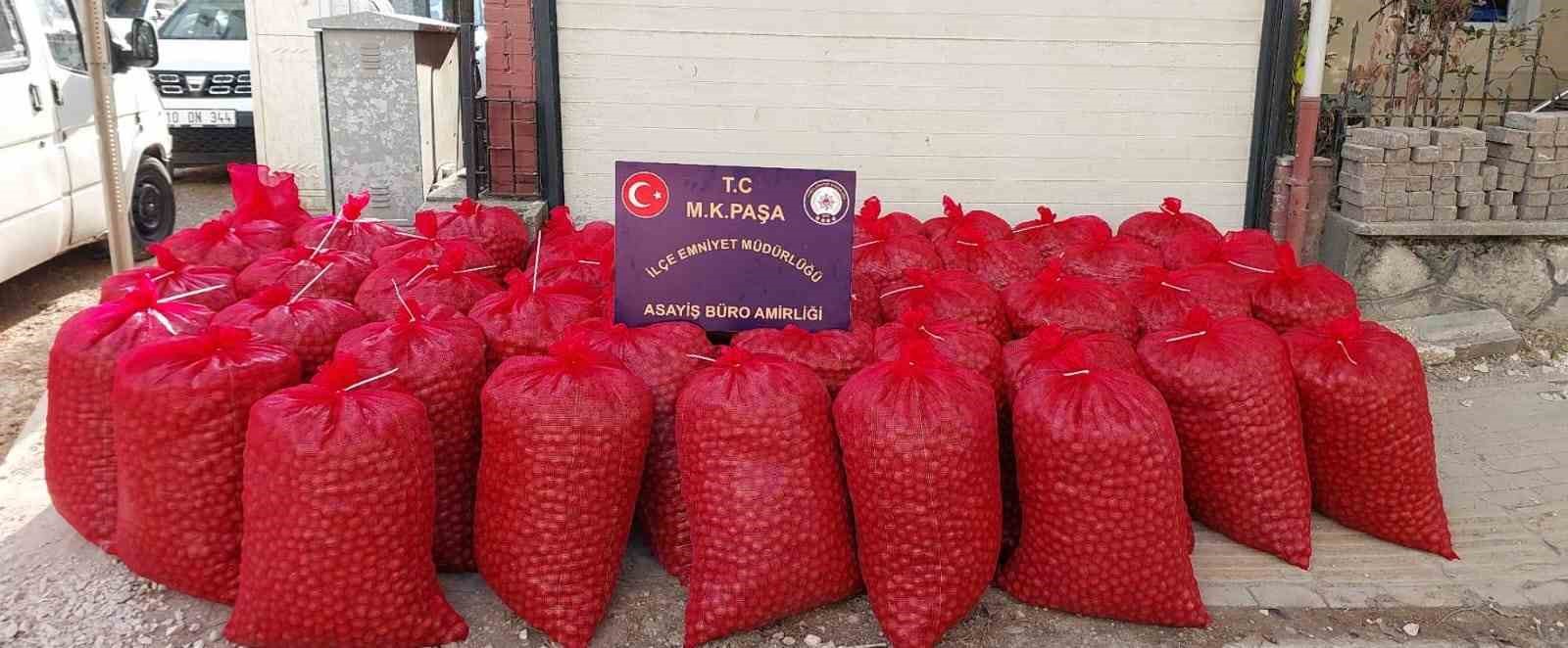 Ceviz hırsızları enselendi