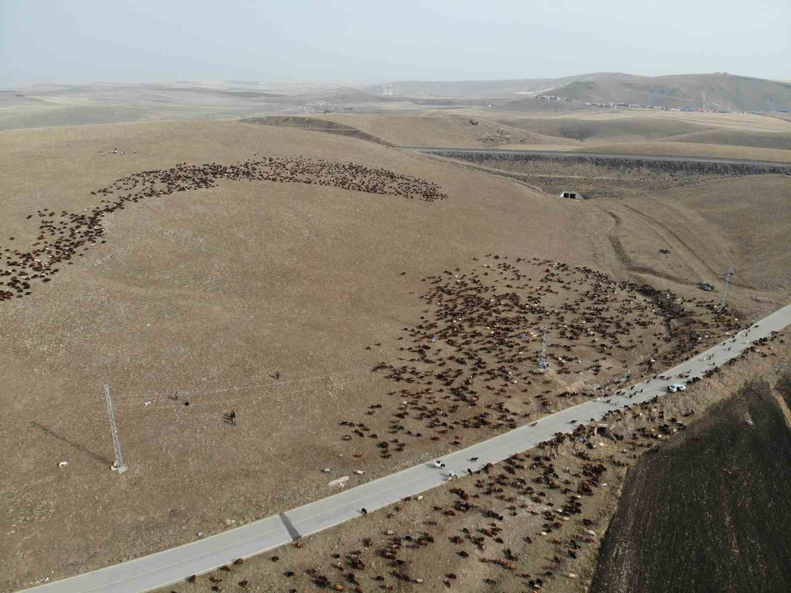 Göçerlerin zorlu yolculuğu başladı