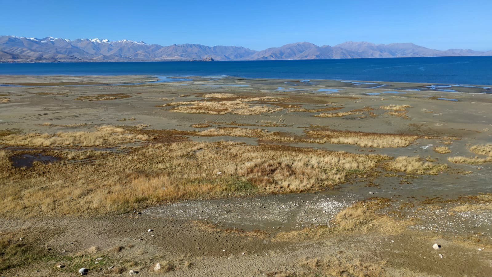 Renkli yazlardan sessiz çöl manzarasına: Van Gölü’nün 8 yıllık değişimi