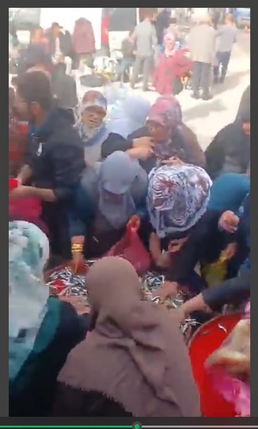 Ücretsiz hamsi dağıtımı yoğun ilgi gördü