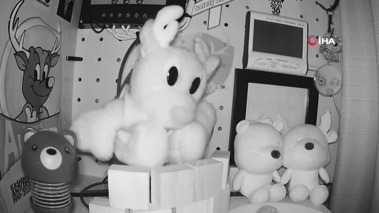 Japonya’da 6,7 büyüklüğünde deprem: Tsunami uyarısı yapıldı