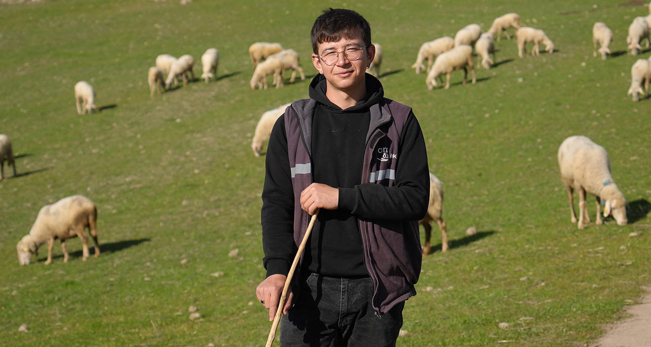 Şehir hayatını bırakıp baba ocağına döndü: Genç mezun şimdi sürü sahibi