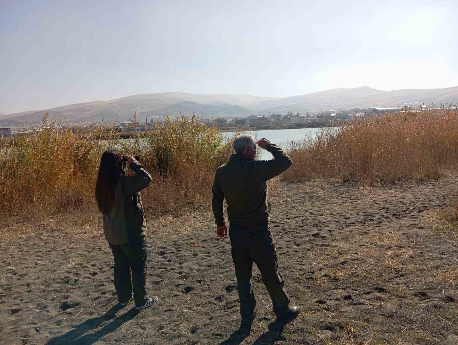 Van’da kafes avcısına 29 bin 140 lira caza