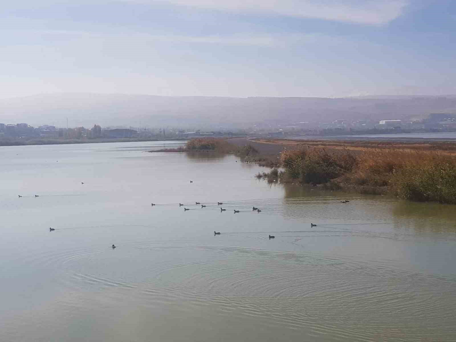 Van’da kafes avcısına 29 bin 140 lira caza