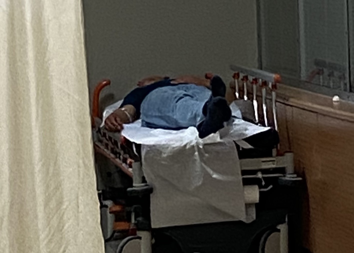 Ormandaki mantarları yiyen 7 kişi hastanelik oldu