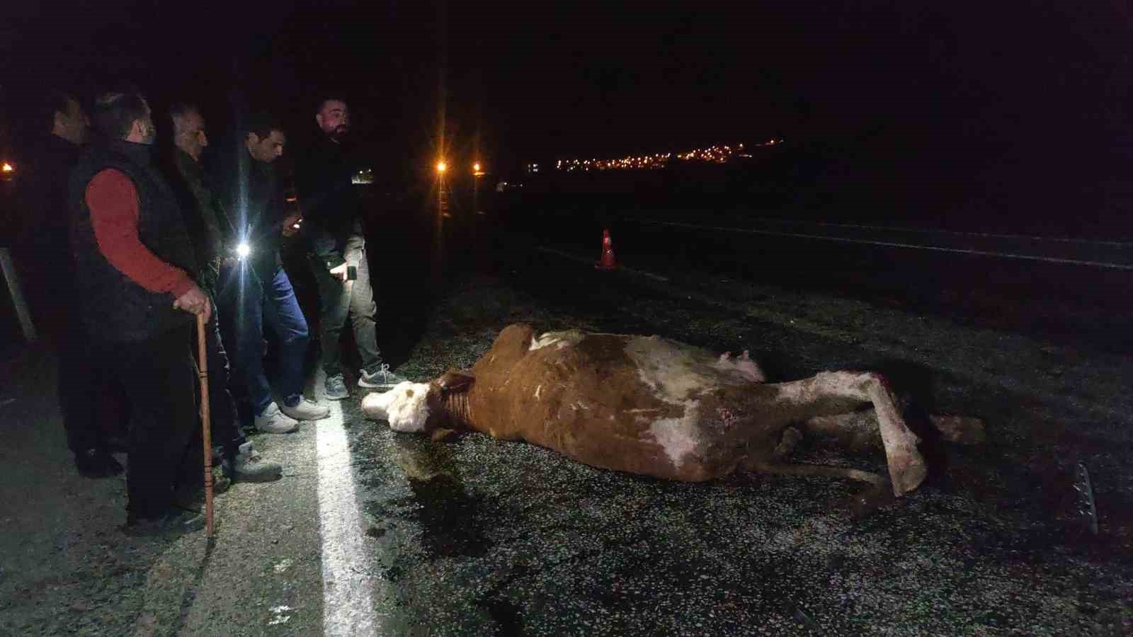 Van’da minibüs ve otomobil ineğe çarptı: Kazada 2 kişi yaralandı, inek telef oldu