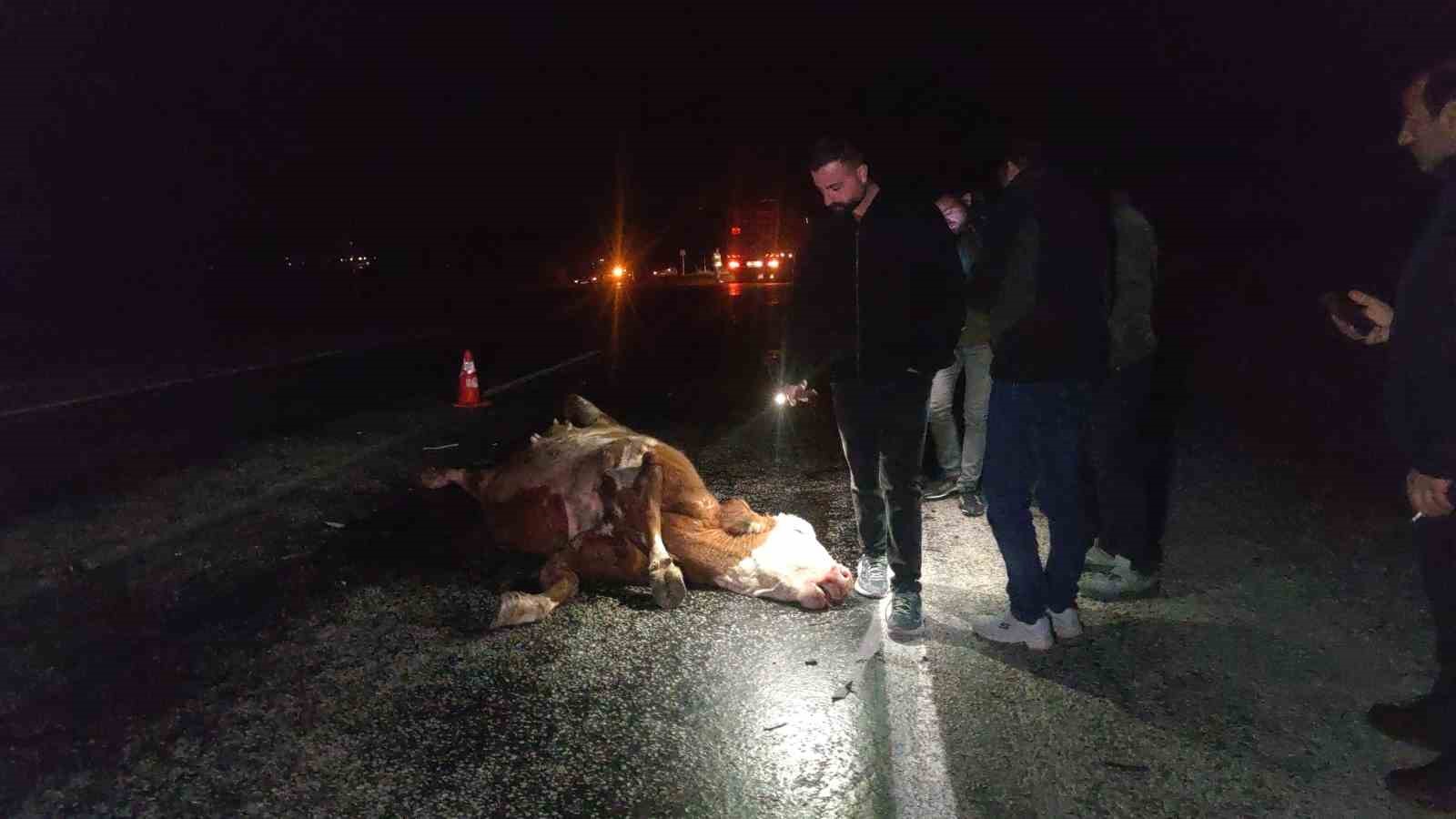 Van’da minibüs ve otomobil ineğe çarptı: Kazada 2 kişi yaralandı, inek telef oldu