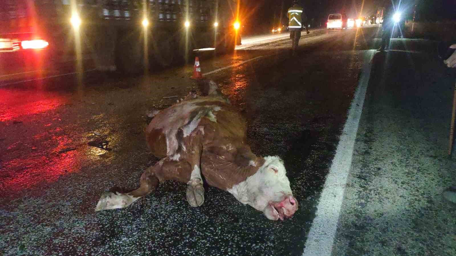 Van’da minibüs ve otomobil ineğe çarptı: Kazada 2 kişi yaralandı, inek telef oldu