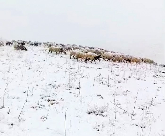 Başkale beyaza büründü